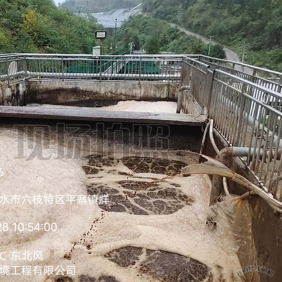 手机免费看片渗滤液处理中泡沫产生的危害